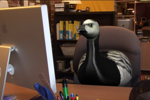 Goose Motivational Video